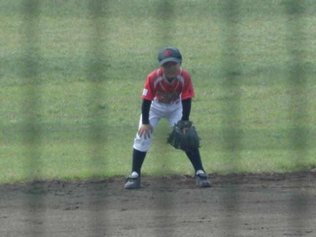 �`�[���ʐ^