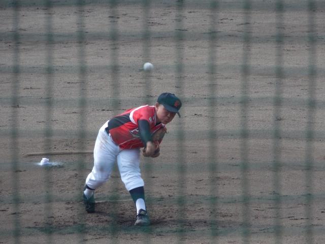 �`�[���ʐ^