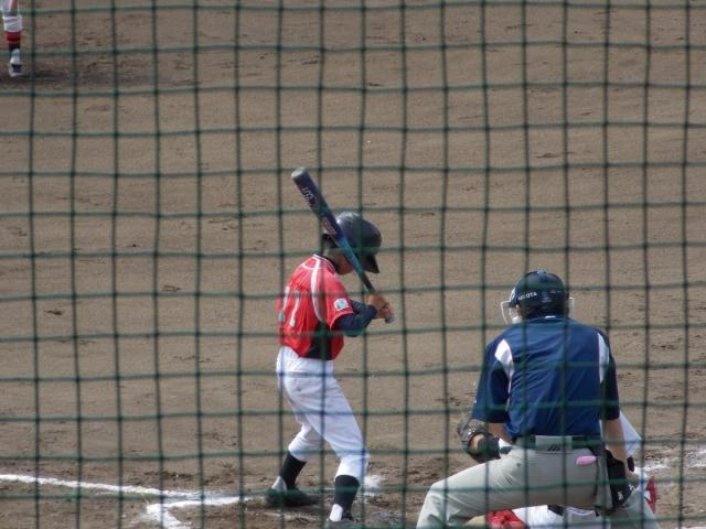 �`�[���ʐ^