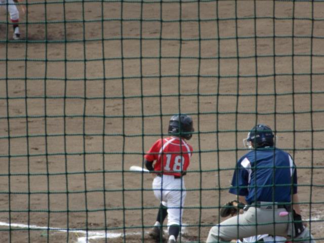 �`�[���ʐ^