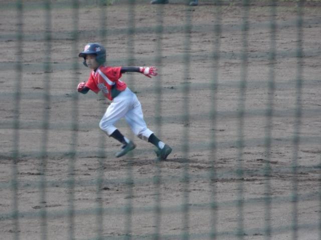 �`�[���ʐ^