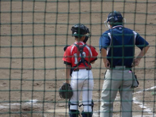 �`�[���ʐ^