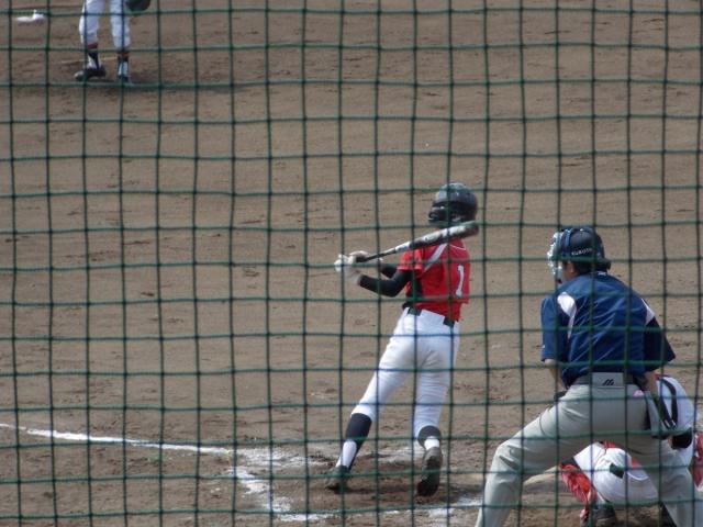 �`�[���ʐ^