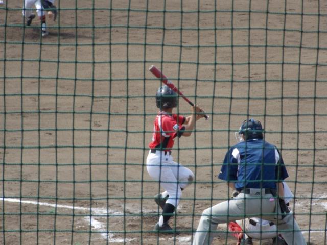 �`�[���ʐ^