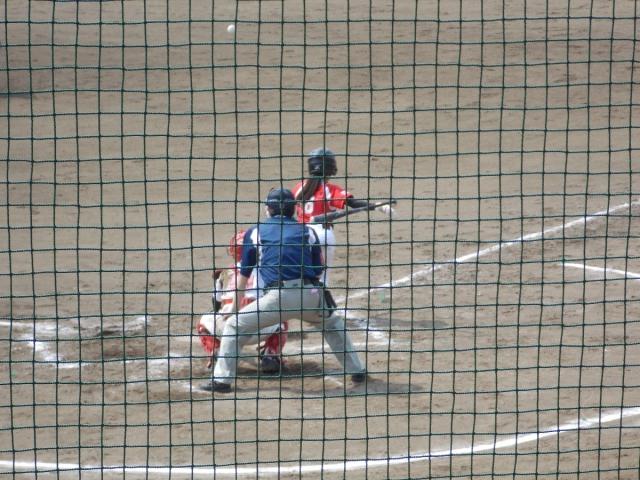 �`�[���ʐ^