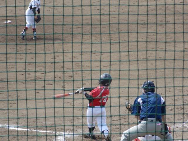 �`�[���ʐ^