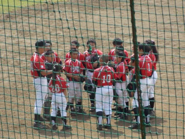 �`�[���ʐ^