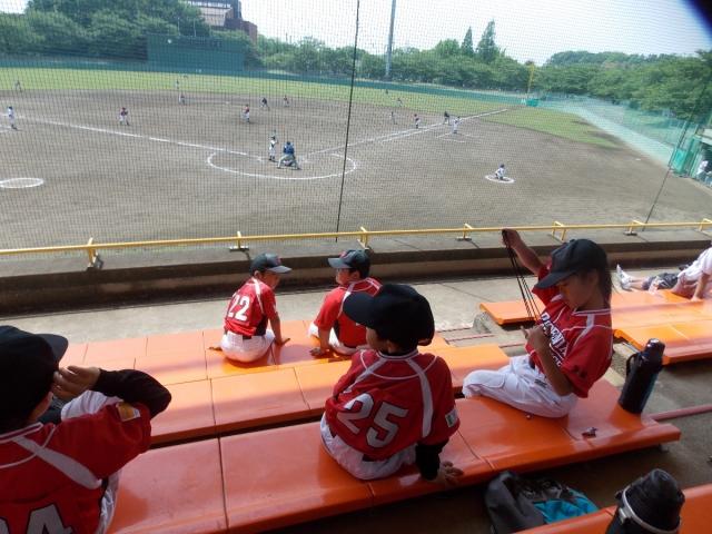 �`�[���ʐ^