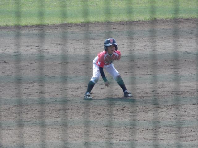 �`�[���ʐ^