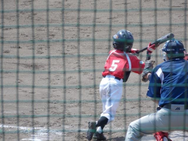 �`�[���ʐ^