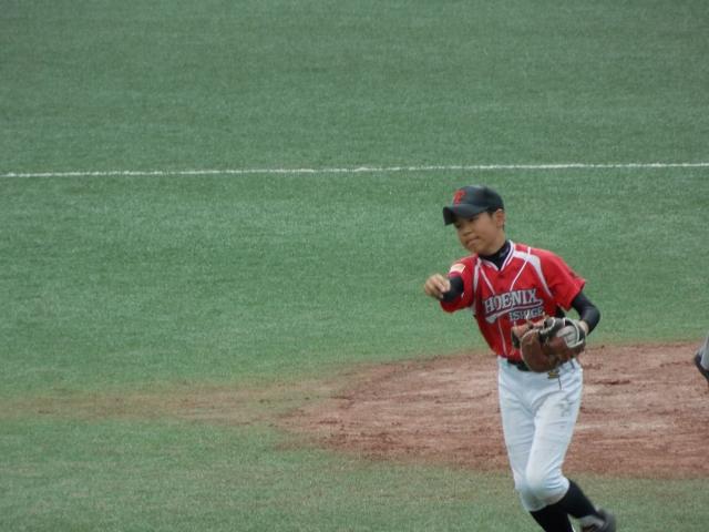 �`�[���ʐ^