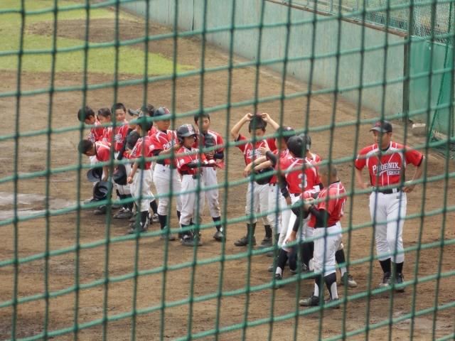 �`�[���ʐ^