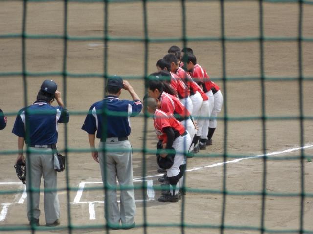 �`�[���ʐ^