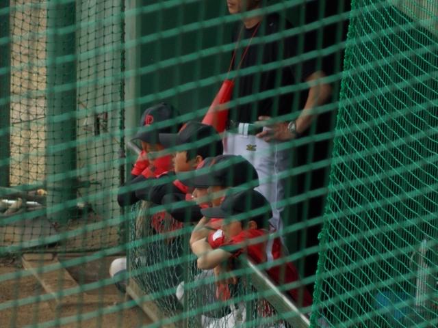 �`�[���ʐ^