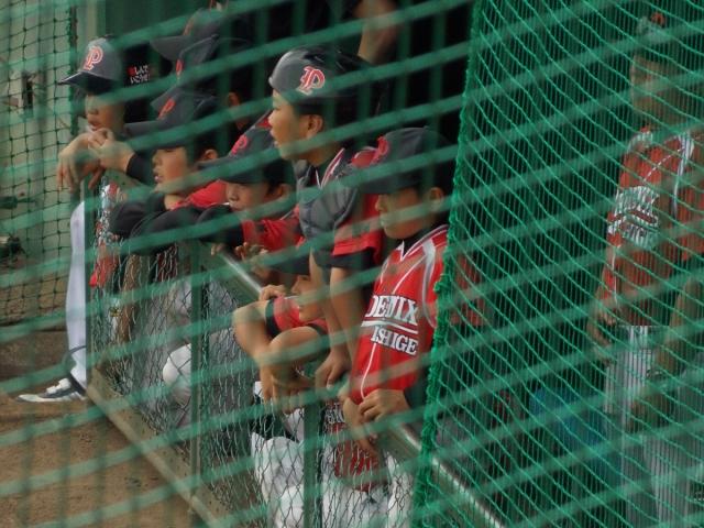 �`�[���ʐ^