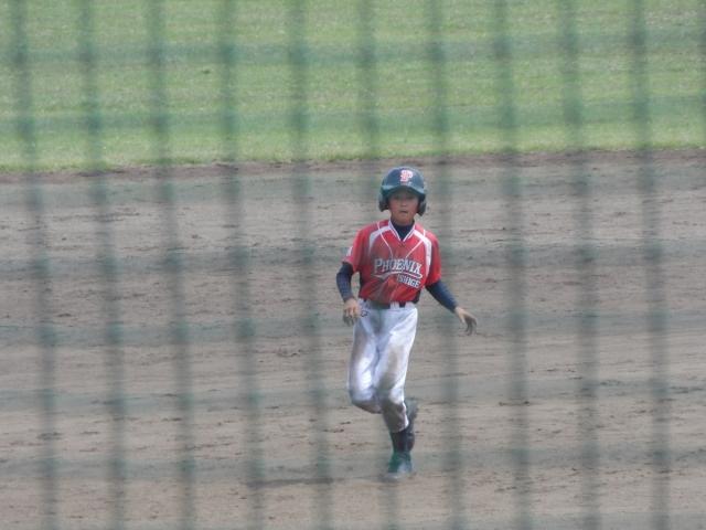 �`�[���ʐ^