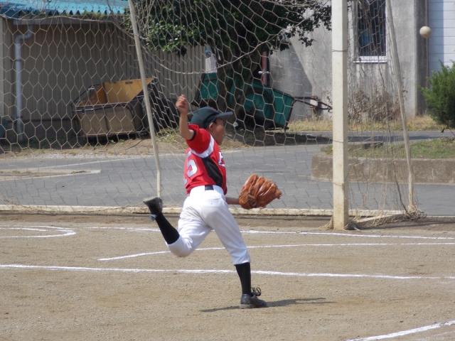 �`�[���ʐ^