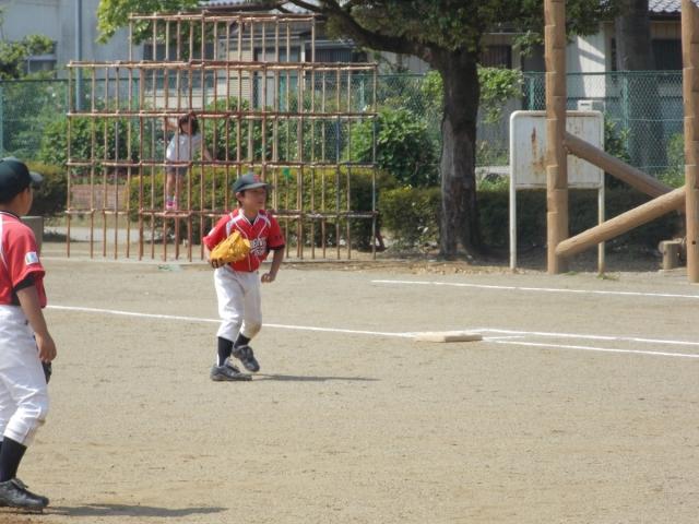 �`�[���ʐ^