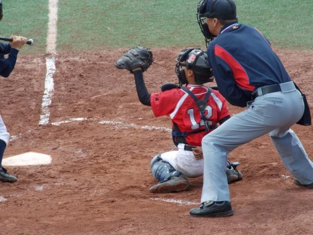 �`�[���ʐ^