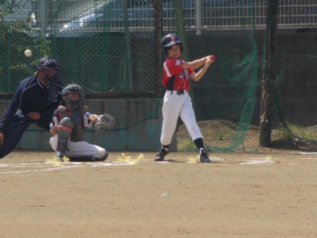 �`�[���ʐ^