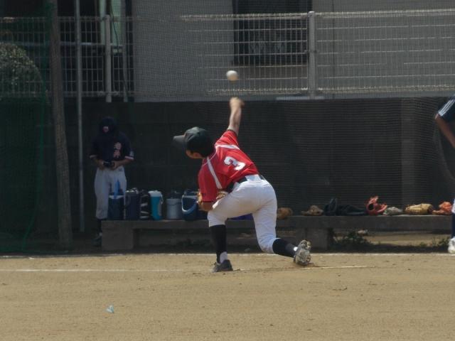 �`�[���ʐ^