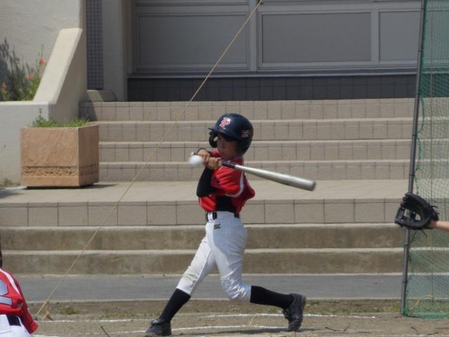 �`�[���ʐ^