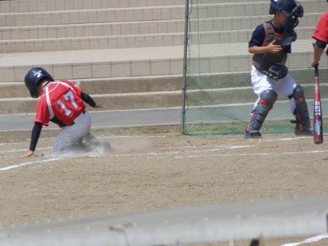 �`�[���ʐ^