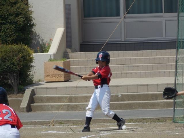 �`�[���ʐ^