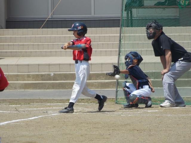 �`�[���ʐ^