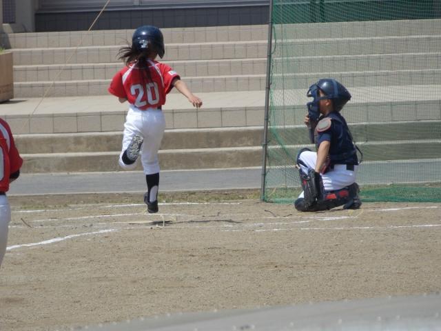 �`�[���ʐ^