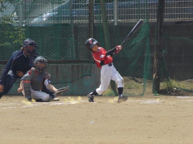 �`�[���ʐ^