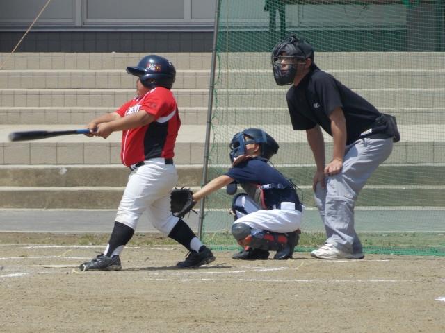 �`�[���ʐ^