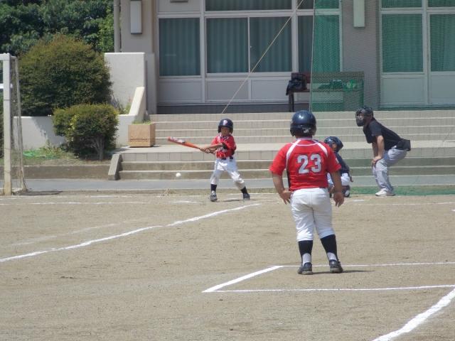 �`�[���ʐ^