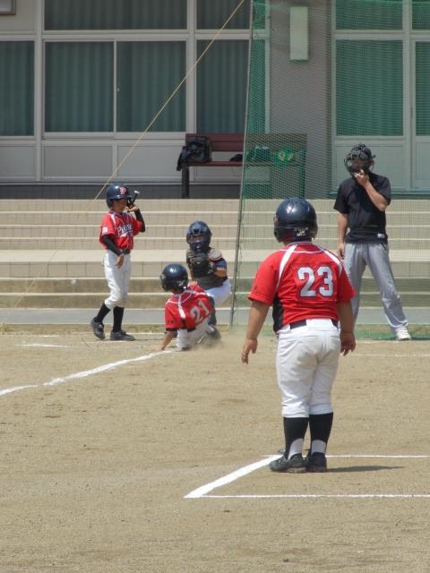 �`�[���ʐ^