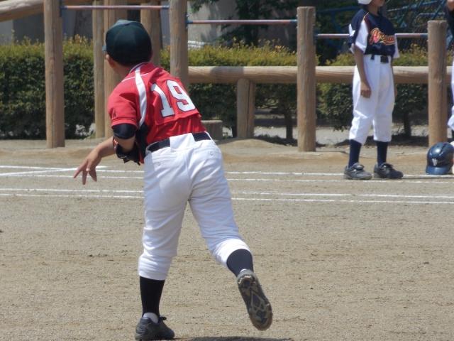 �`�[���ʐ^