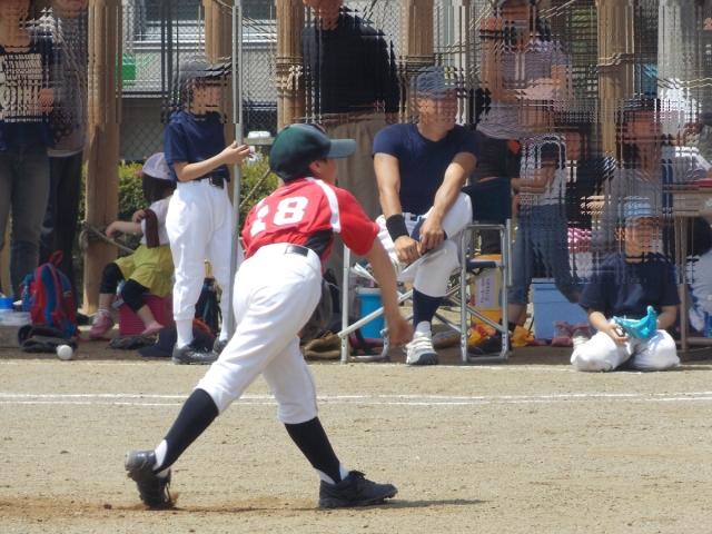 �`�[���ʐ^