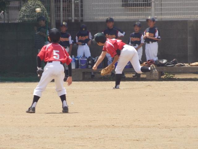 �`�[���ʐ^