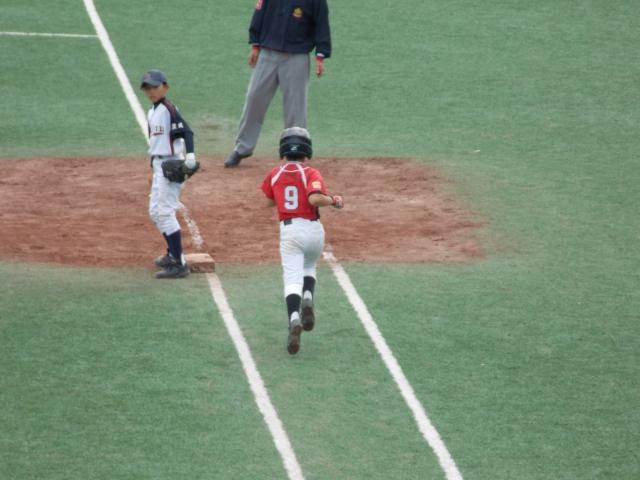 �`�[���ʐ^