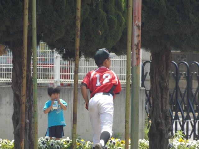 �`�[���ʐ^