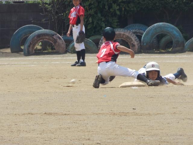 �`�[���ʐ^