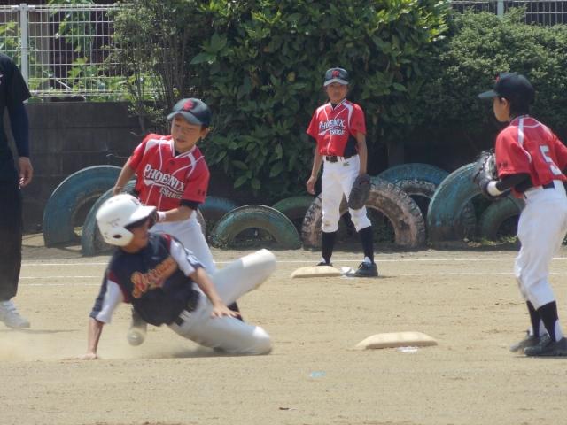 �`�[���ʐ^