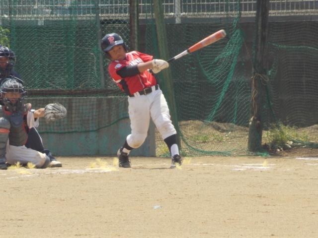 �`�[���ʐ^