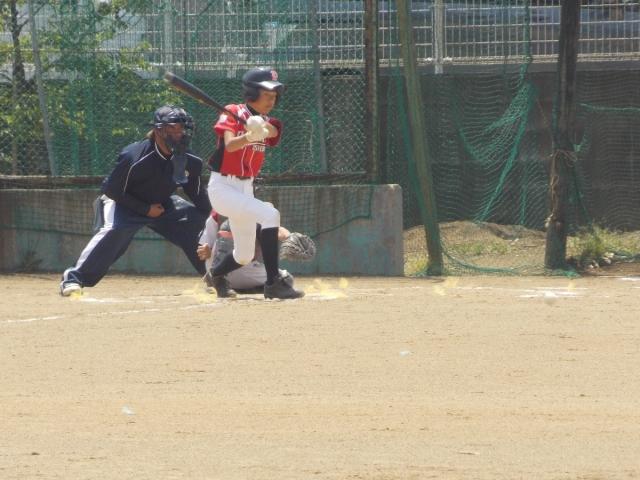 �`�[���ʐ^