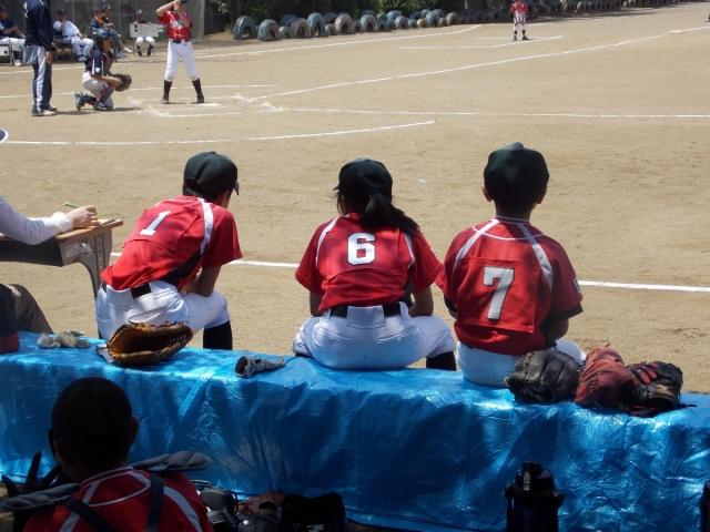 �`�[���ʐ^