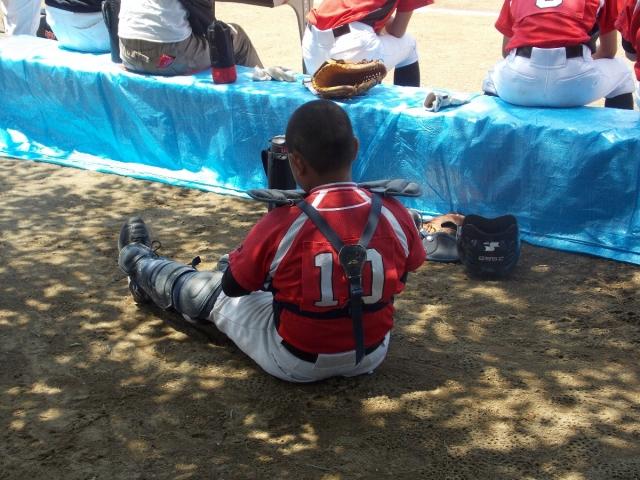 �`�[���ʐ^