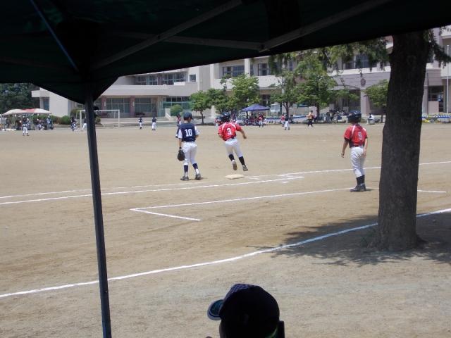 �`�[���ʐ^