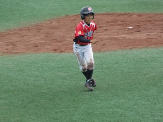 �`�[���ʐ^