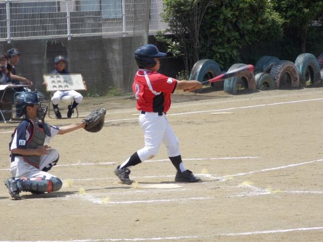 �`�[���ʐ^