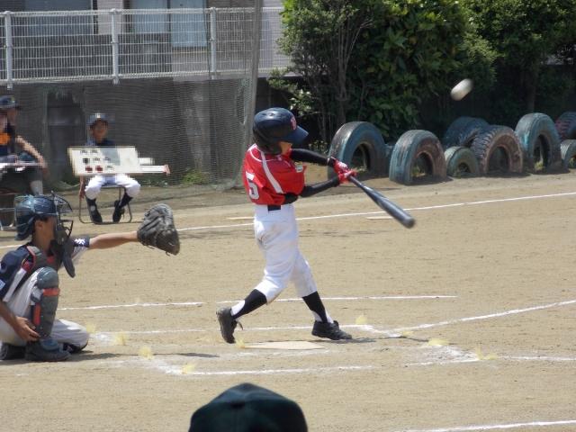 �`�[���ʐ^