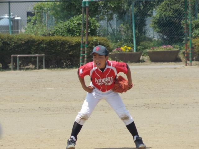 �`�[���ʐ^